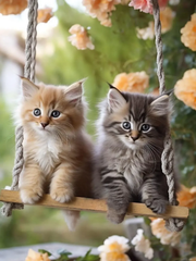 Broderie Diamant - Chats dans la Nature  5