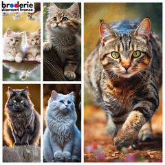 Broderie Diamant - Chats dans la Nature