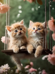 Broderie Diamant - Chats dans la Nature  11