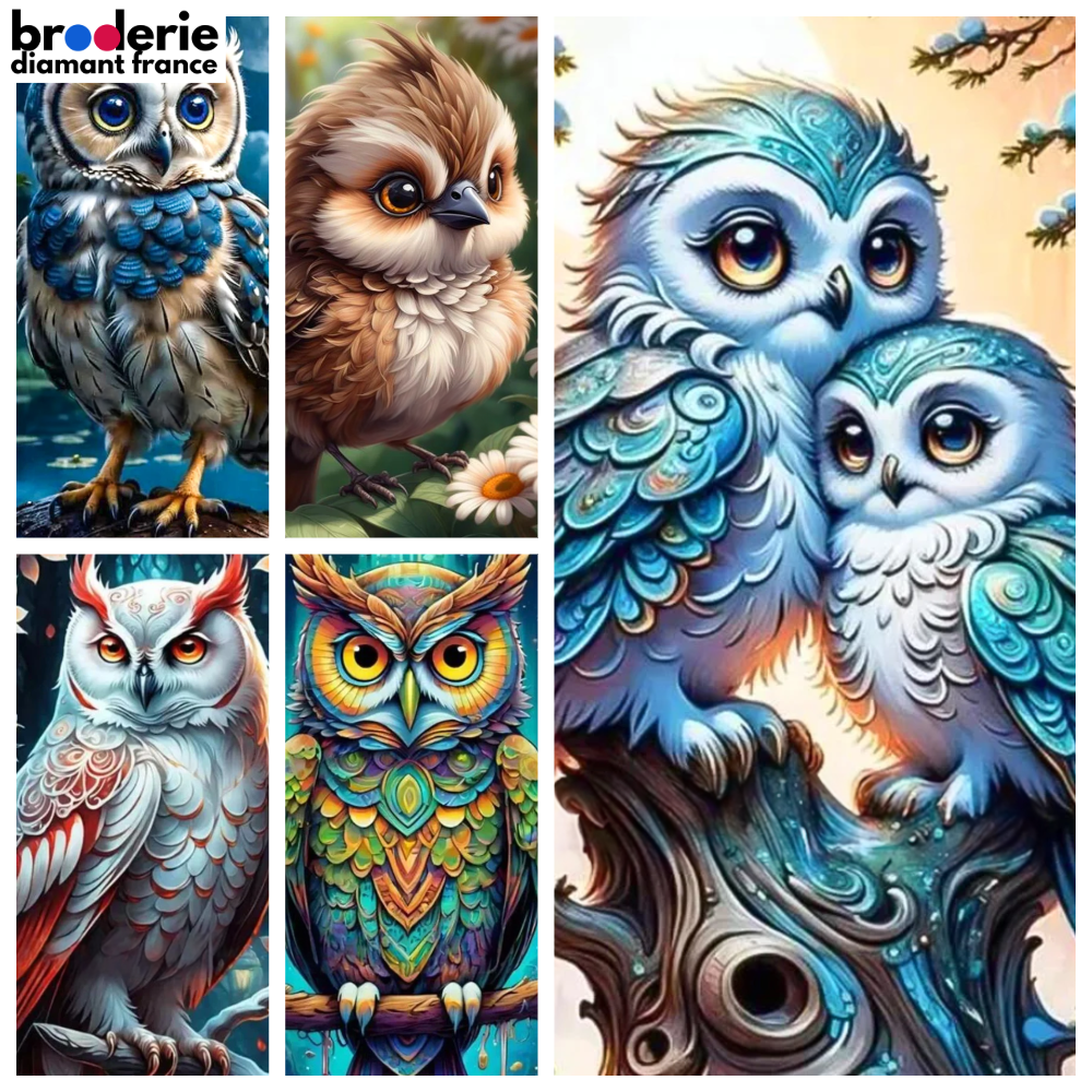 Broderie Diamant - Chouettes et Hiboux Majestueux